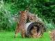 Cat-On® Le Tube-M - ronde krabtunnel van golfkarton